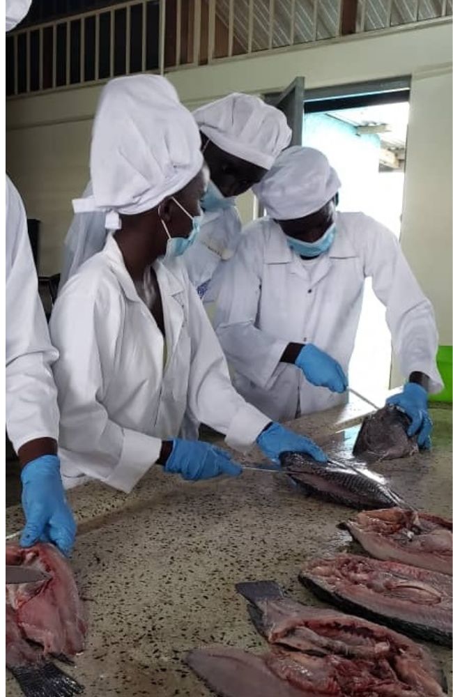 Fish Processing