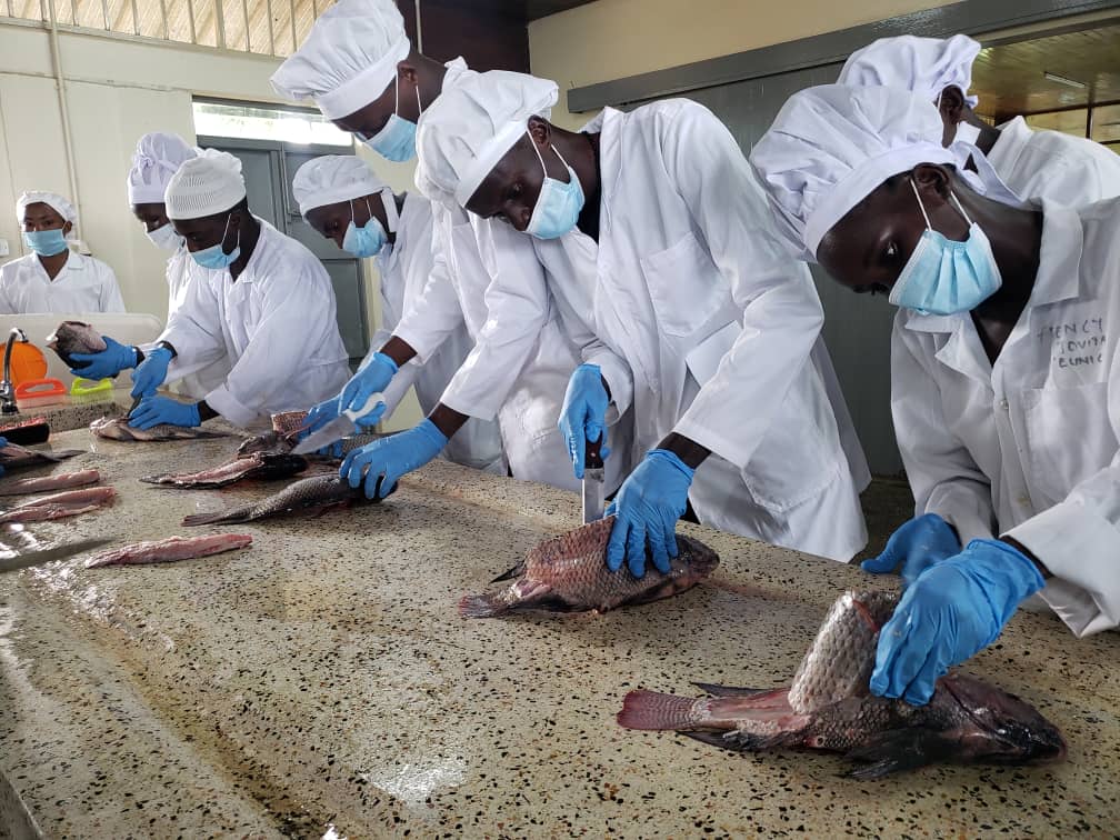 Fish processing and Value addition at FTI